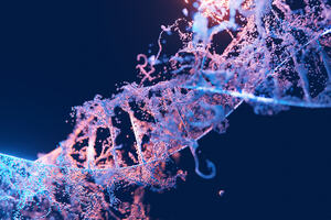 Particle with DNA structure