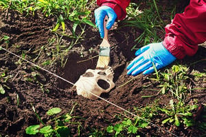 Researcher brushing a skull that has just been unearthed in an excavation